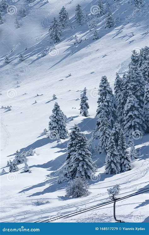 The Ski Center of Kalavryta, Greece. Stock Image - Image of helmos ...