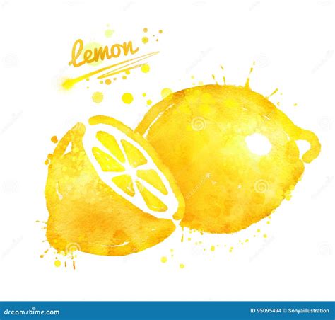 Hand Drawn Watercolor Illustration Of Lemon Stock Illustration Illustration Of Food Juicy