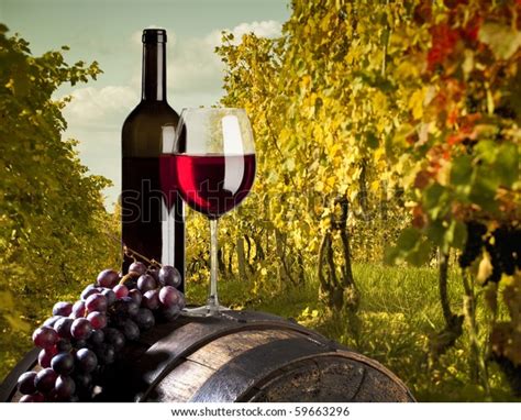 Red Vine Vineyard Stock Photo (Edit Now) 59663296