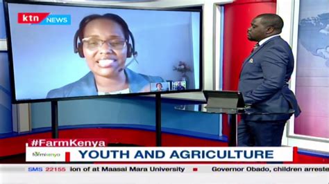 FarmKenya Women And Youth In Agribusiness Challenges And