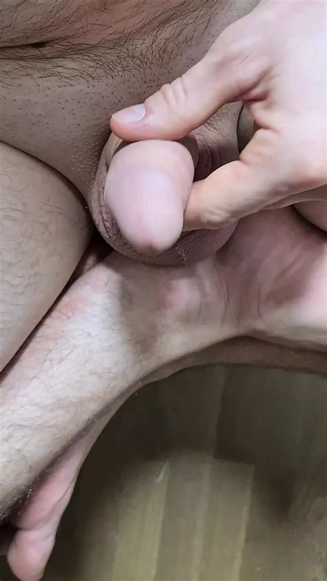 Ordeñando Mi Polla Hasta Que El Semen Gotee Xhamster