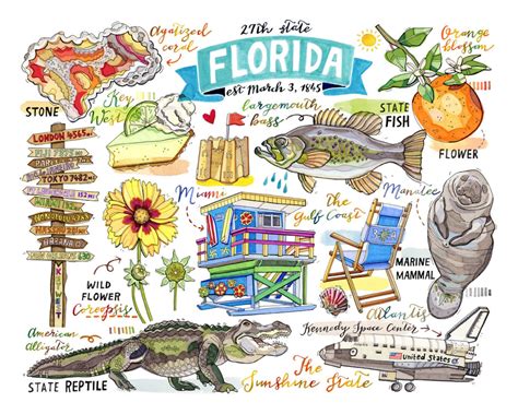 Florida Print, State Symbols, Illustration, State Art, Key West,miami ...