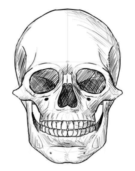 Calavera Dibujo A Lapiz