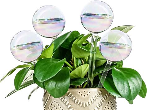 Amazon Koorabbee Pcs Iridescent Glass Plant Watering Globes