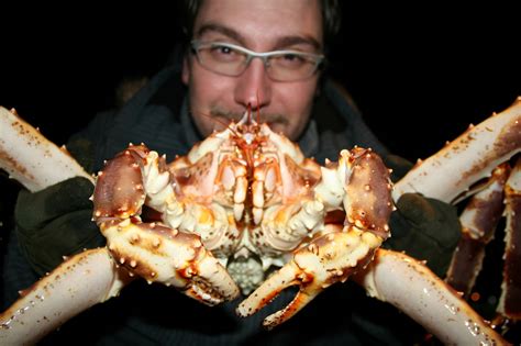 King Crab Fishing - Nordic Safari Wildlife Adventures