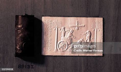 Cylinder Seal Photos And Premium High Res Pictures Getty Images