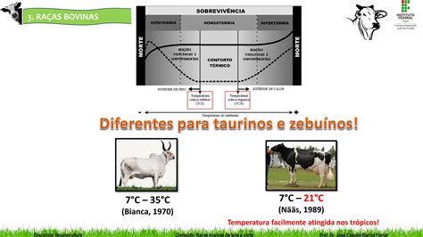 Aula Principais Ra As Bovinas De Leite E Corte Pdf