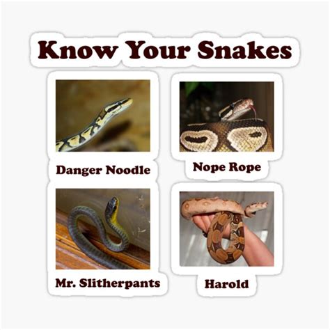 "Know Your Snakes Nope Rope Danger Noodle" Sticker for Sale by Croneda | Redbubble