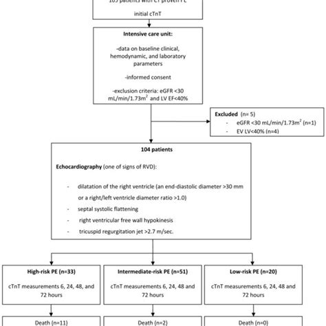 Study Protocol Pe Pulmonary Embolism Ct Computed Tomography Ctnt