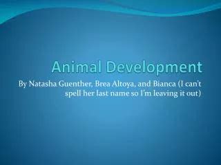 PPT - ANIMAL GROWTH AND DEVELOPMENT PowerPoint Presentation, free ...