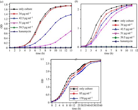 A Growth Curve Of Bacillus Subtilis Against Compound 1 And Kanamycin