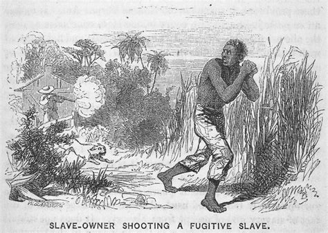 Fugitive Slave Act Of 1793 HISTORY CRUNCH History Articles