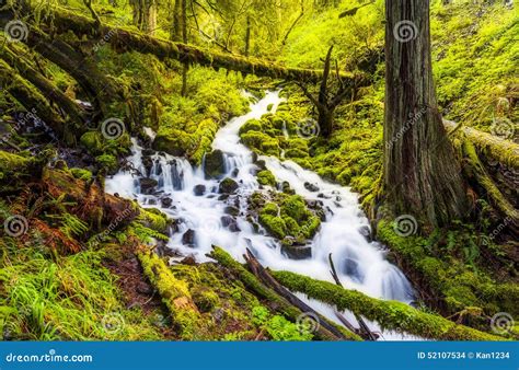 Cascade Waterfalls in Oregon Forest Hike Trail Stock Photo - Image of ...