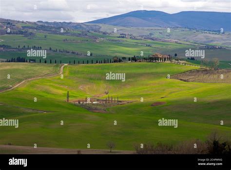 Campos verdes y colinas onduladas paisaje típico de val DÕOrcia