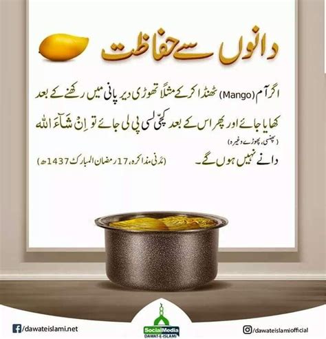 Pin By Nasreen Bano On Madani Knowledge Natural Health Tips Healthy