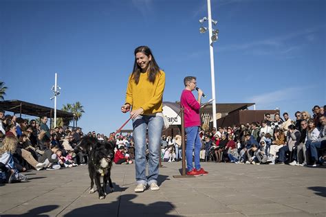 Emoción y finales felices en el 21º Desfile de perros abandonados