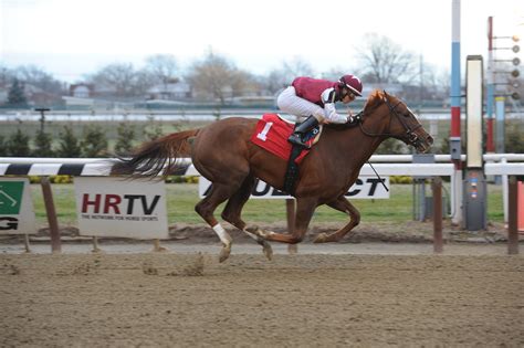 Aqueduct: Ballylee stepping up off debut win for Busher Stakes