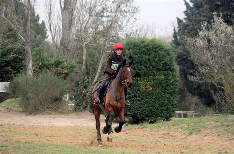 équitation cce amateur pro à la Gourmette Vauclusienne Vedène Des cavaliers prophètes en