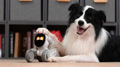 Meet Your New Favorite Robot Companion Loona Imboldn