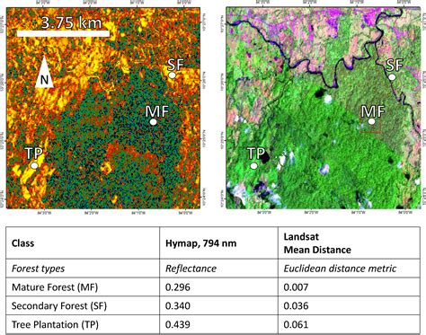 Remote Sensing Free Full Text Mapping Species Composition Of