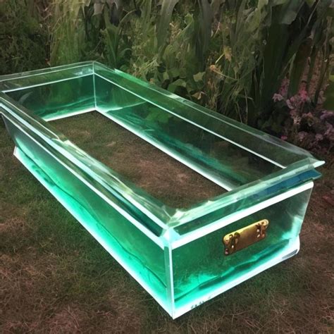 Glass Coffin