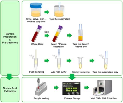 Exiprep™16dx Viral Dna Rna Extraction Kit 96 Prep Kit Africa