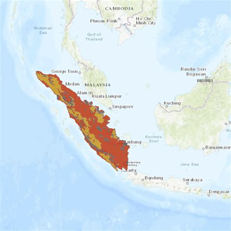 Definitive Guide To Sumatran Tiger Facts, Habitat, Conservation Status