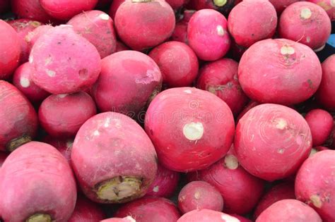 Organic And Healthy Radish And Turnip Pictures On Greengrocery Stock