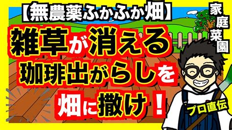 【雑草対策】珈琲の出涸らしを使って雑草がない畑を作るコツ！さらに害虫も減る＋ふかふかの土になる！【アニメでわかる家庭菜園・ガーデニング解説