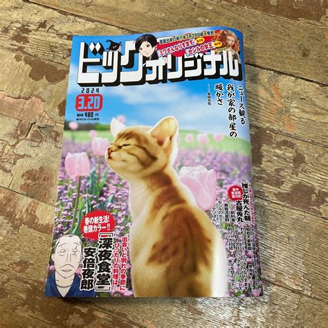 【未使用に近い】ビッグコミックオリジナル2024年3月20日号中古本の落札情報詳細 ヤフオク落札価格検索 オークフリー