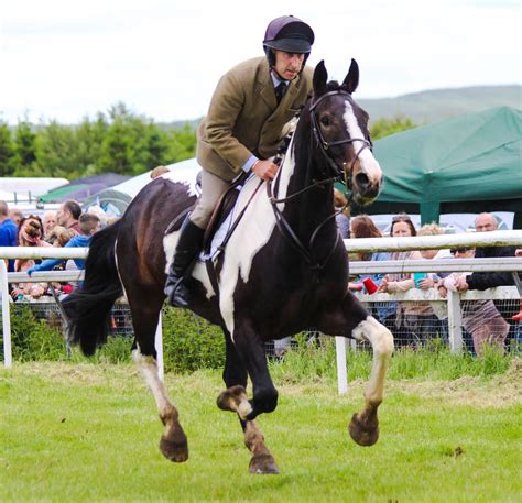 Hawick Common Riding 9th June 2017