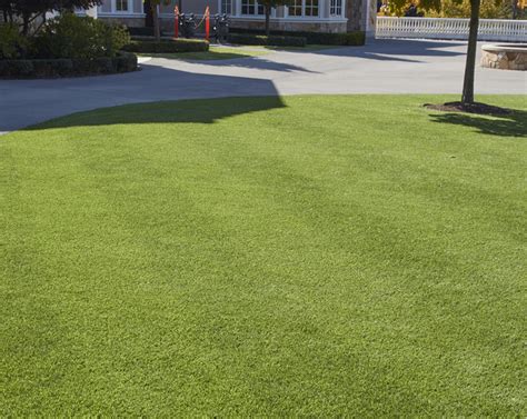 Premium Synthetic Turf and Installation Services - AGL Grass West