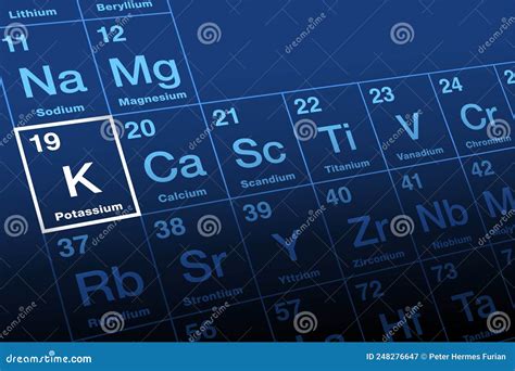 Potassium With Symbol K For Neo Latin Kalium On The Periodic Table Stock Vector