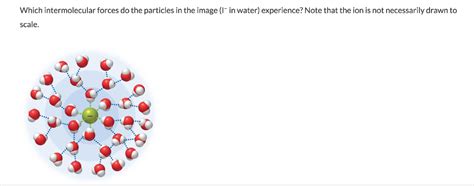 Solved Which intermolecular forces do the particles in the | Chegg.com