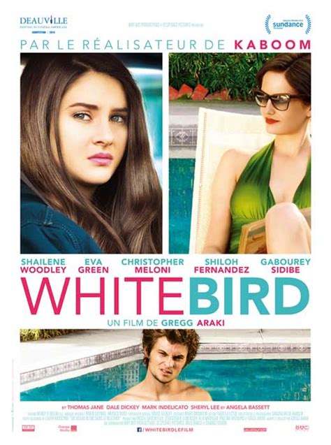 White Bird in a Blizzard Movie Poster Print (27 x 40) - Item # MOVAB69145 - Posterazzi