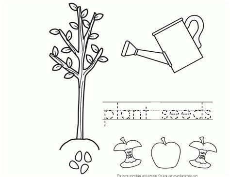 Planting Seeds Coloring Pages Pin On This Year Coloring Pages