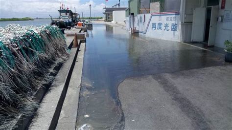 促進觀光提升居住品質 青鯤鯓社區治水防洪升級 生活 中時