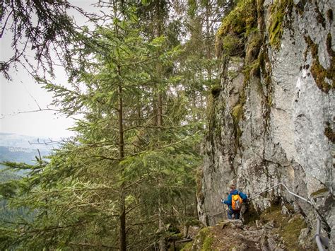 Hiking in the Vosges Mountains | Freeranger Canoe