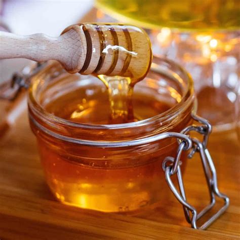 Best Honey Dispenser Beekeeping