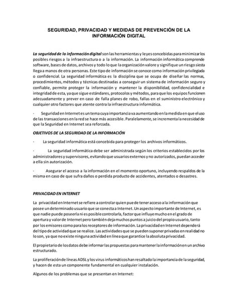 Seguridad Privacidad Y Medidas De Prevención Pdf