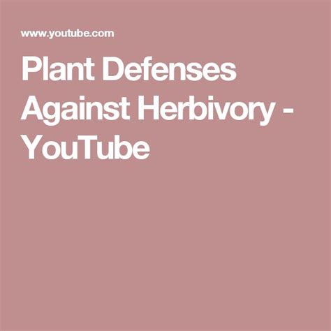 Plant Defenses Against Herbivory Youtube Plants Defense