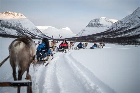 The Sámi experience in Norway – OX Adventure