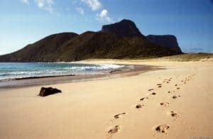 Lord Howe Island weather and when to visit – The Travel Temple