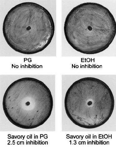 Disk Inhibition Assay Five Microliters Of Mg Savory Essential Oil