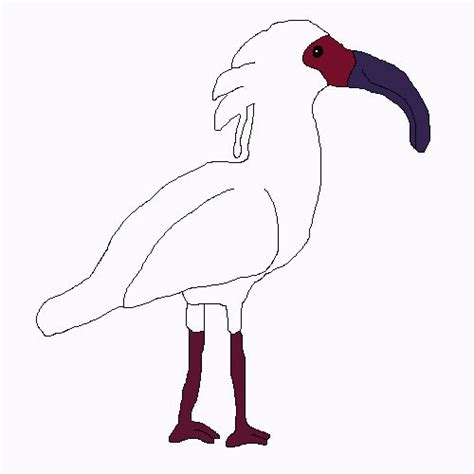 Crested Ibis Drawing by lilkanyongmail on DeviantArt