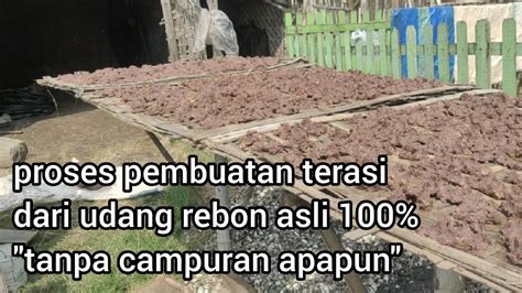 Proses Pembuatan Terasi Udang Rebon Laut Asli Tanpa Campuran Apapun