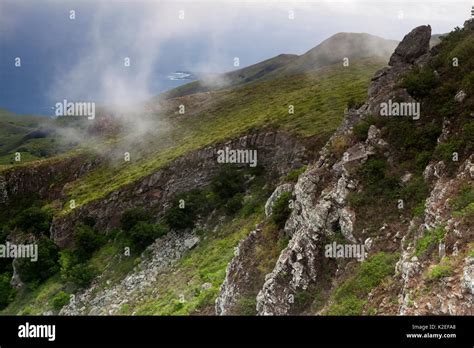 Scrub Vegetation Hi Res Stock Photography And Images Alamy