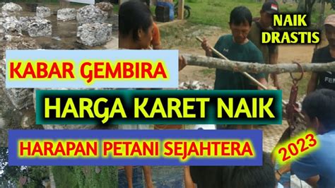 HARGA KARET HARI INI TERBARU HARGA KARET NAIK Update Harga Karet