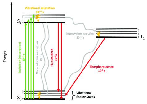 Simplified Perrin Jablonski Diagram Horizontal Lines Represent