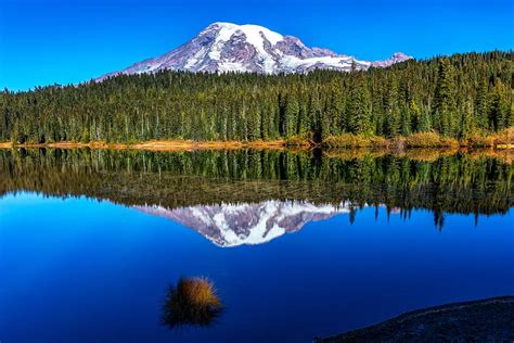 Reflection Lake Scenery Mount Rainier National Park National Parks